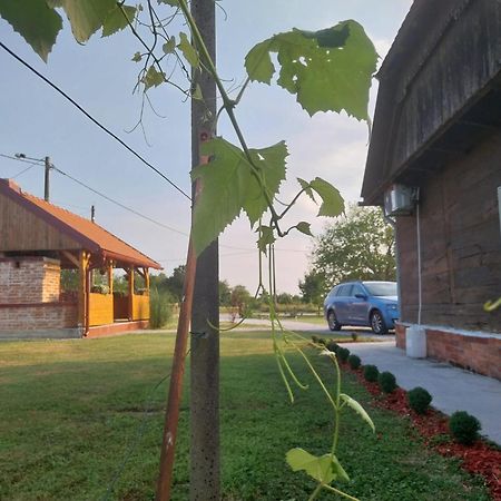 Vila Kuca Za Odmor Jopi I Mare Topusko Exteriér fotografie