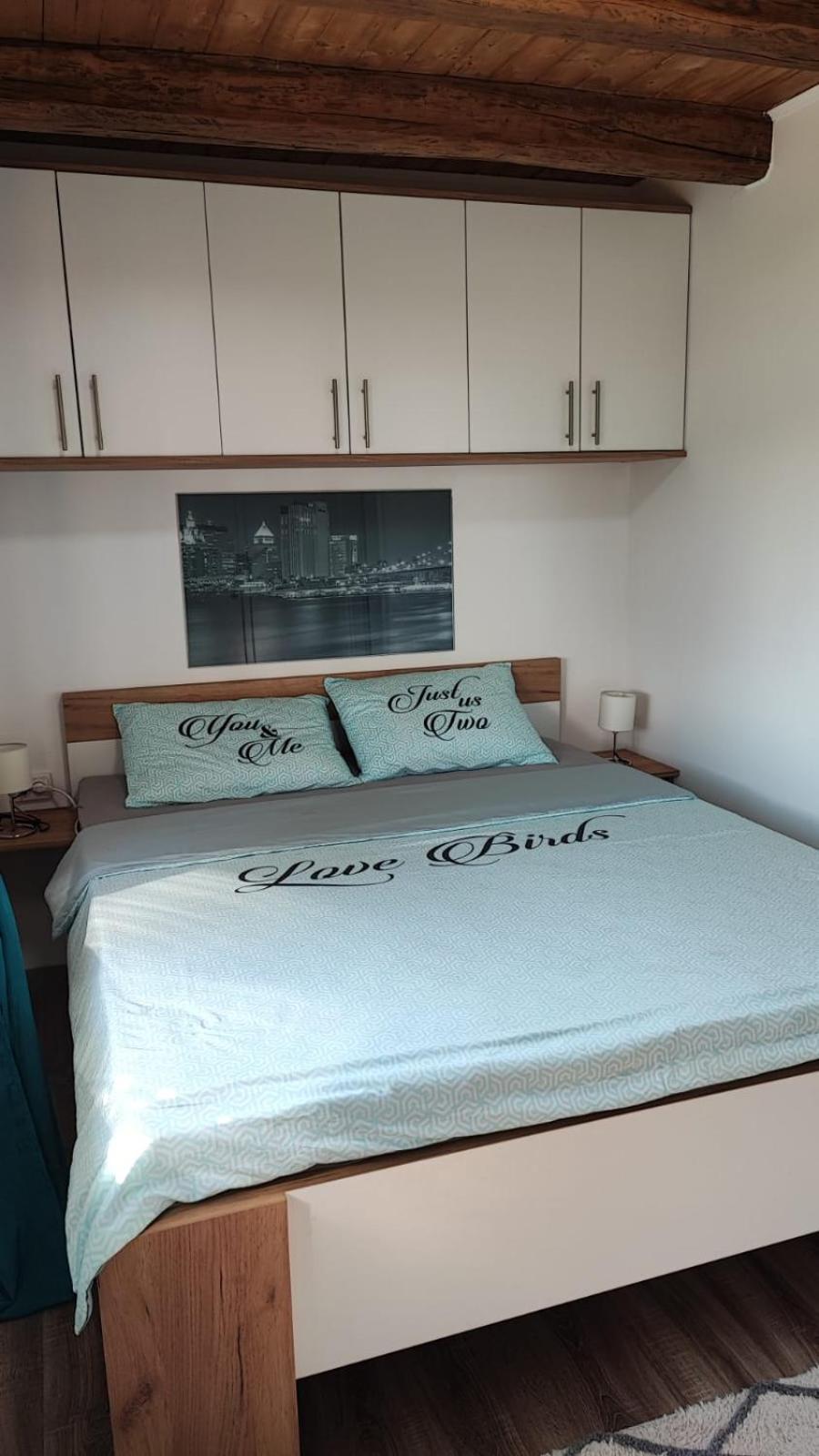 Vila Kuca Za Odmor Jopi I Mare Topusko Exteriér fotografie