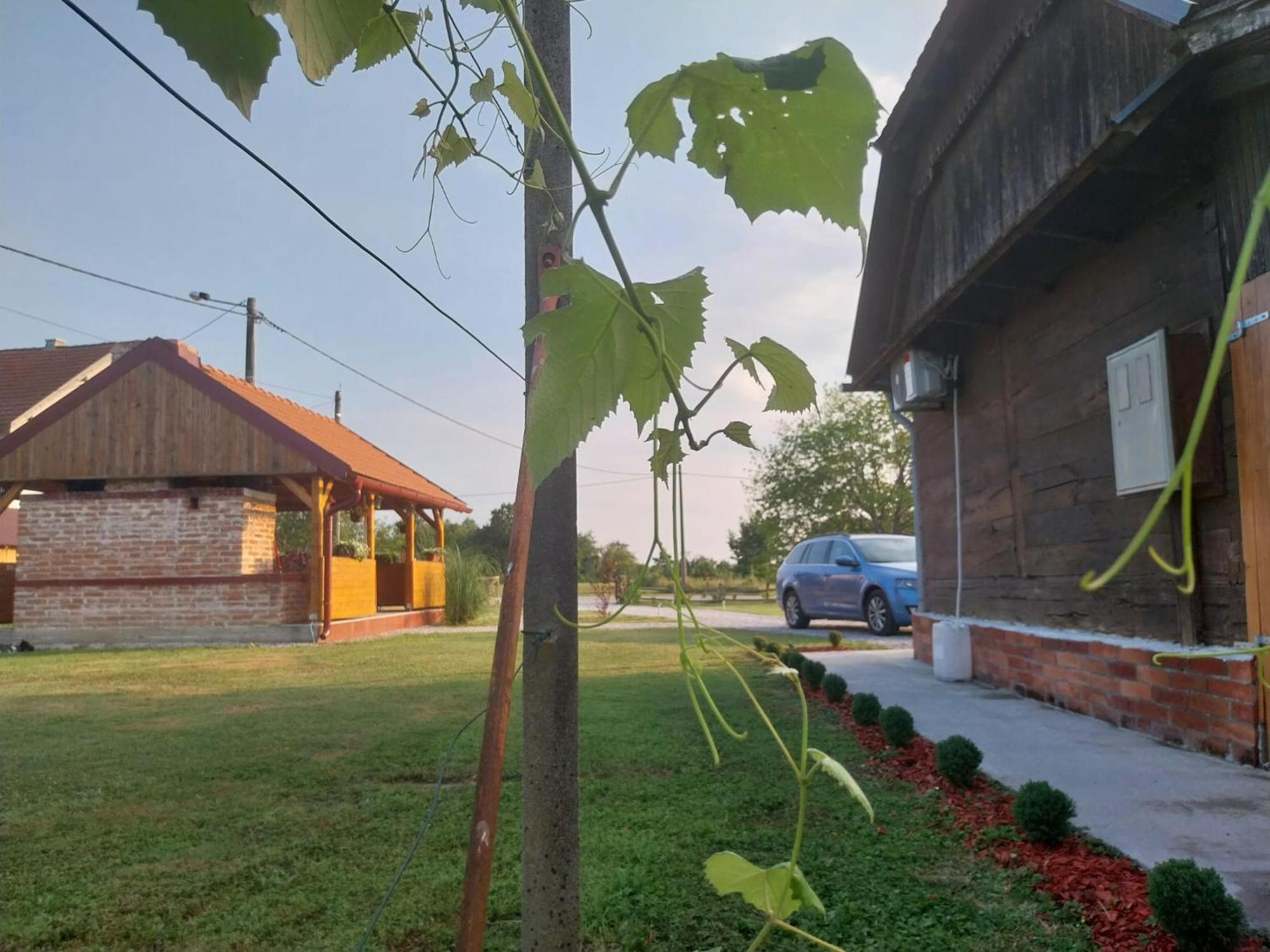 Vila Kuca Za Odmor Jopi I Mare Topusko Exteriér fotografie