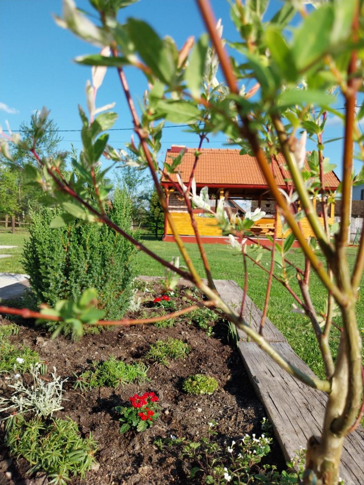 Vila Kuca Za Odmor Jopi I Mare Topusko Exteriér fotografie