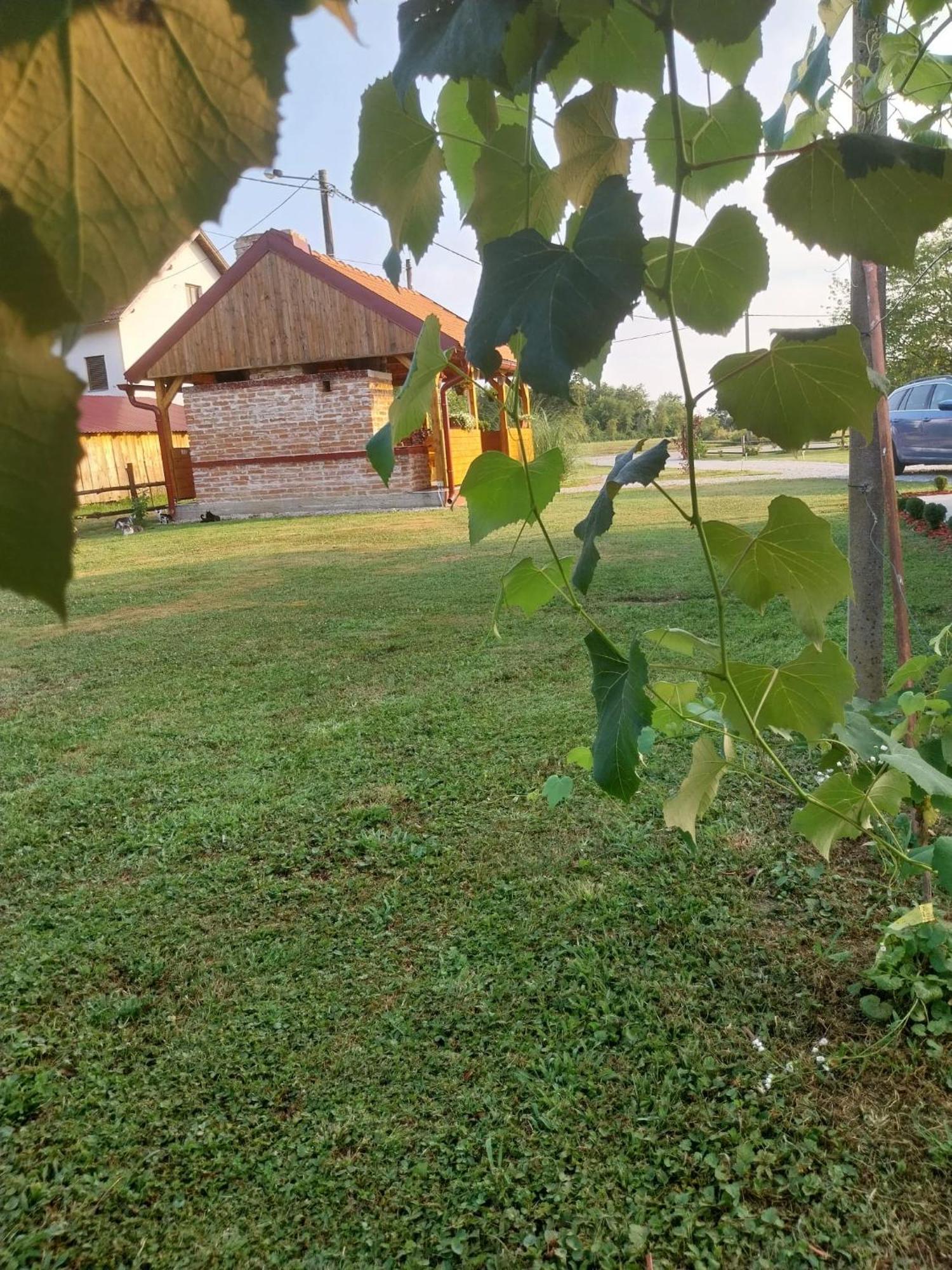 Vila Kuca Za Odmor Jopi I Mare Topusko Exteriér fotografie